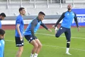 fc voluntari jpg