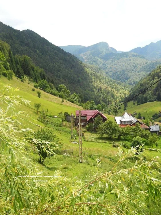 Liniştea de la Valea Urdii: 