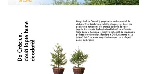 magazincopaci