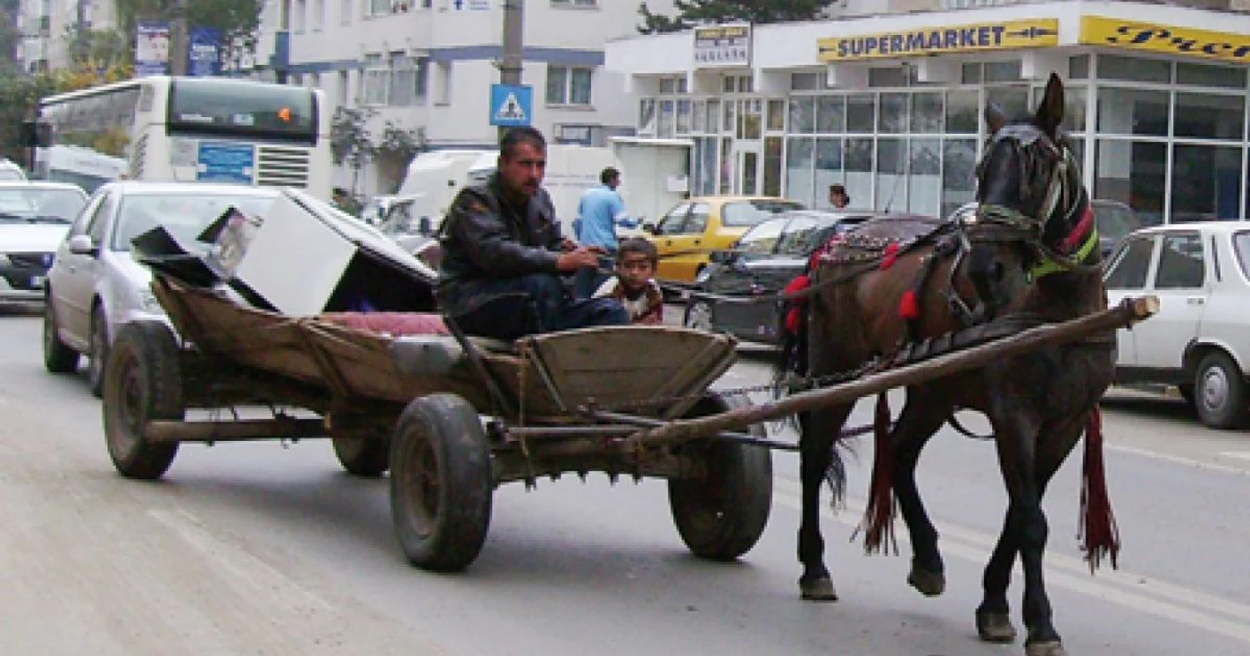 Comercianţii de fier vechi nu înţeleg de ce îi iau poliţiştii la rost când îi văd cu căruţele prin oraş