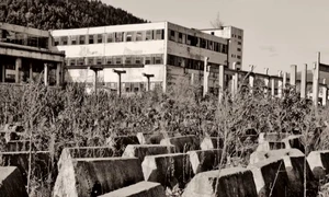 aro campulung captura video jpg