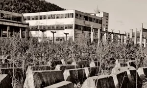 aro campulung captura video jpg