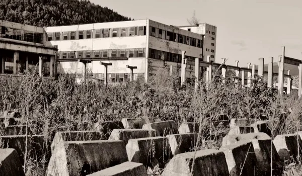 aro campulung captura video jpg