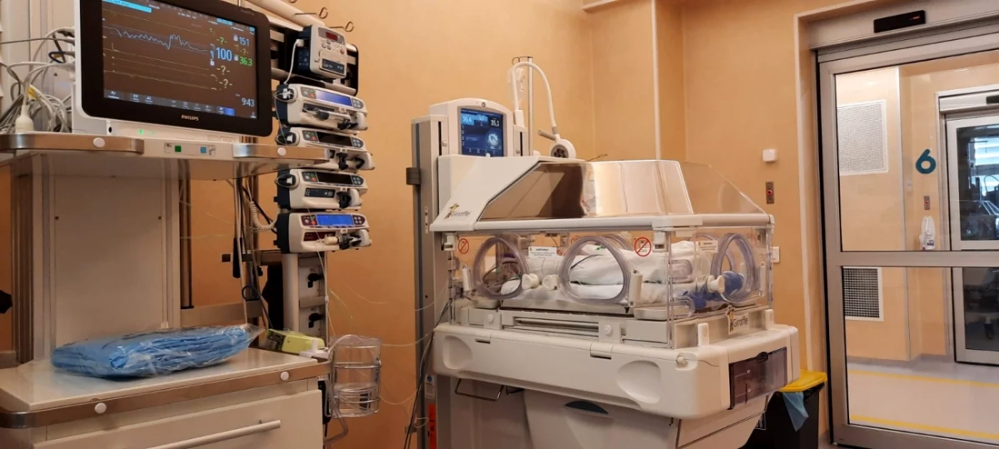 Micuţii sunt ţinuţi în incubator FOTO SCJU