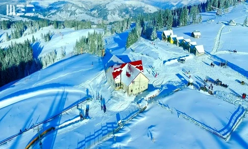 1 79324 original jpg jpeg