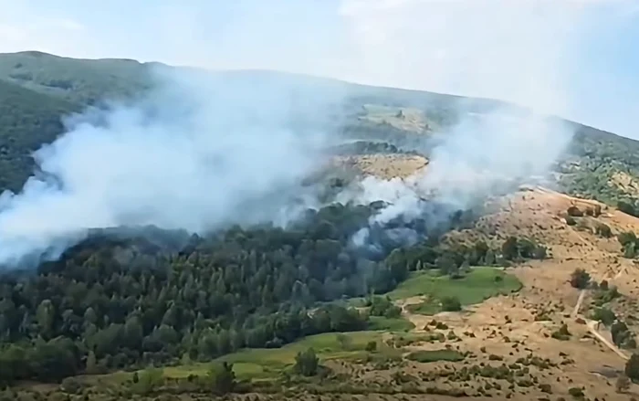 incendiu vegetatie