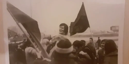 vladoradeapebrate jpg