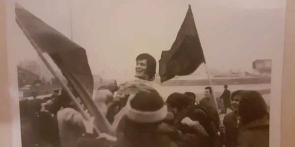 vladoradeapebrate jpg