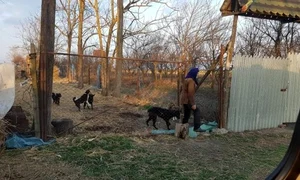 femeie singura galati 0 jpeg