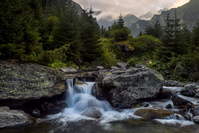 romania salbatica