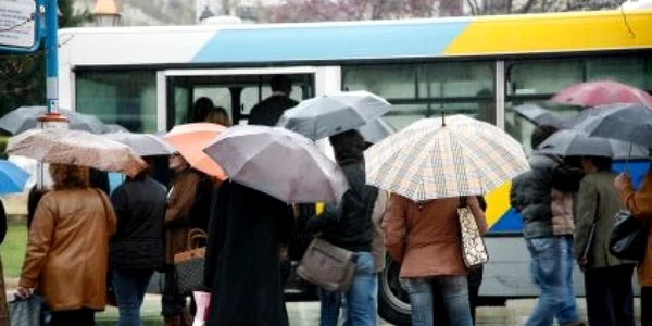 umbrella