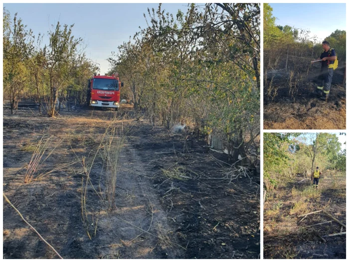 Incendiul s-a extins și se apropia de gospodării FOTo. ISU Dolj