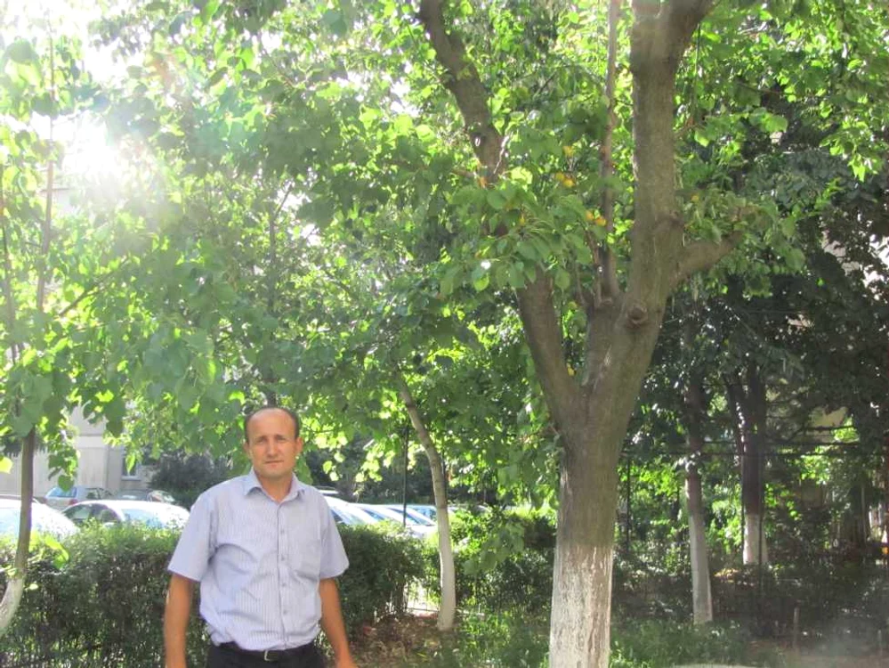 Corcoduş cu mai multe feluri de fructe