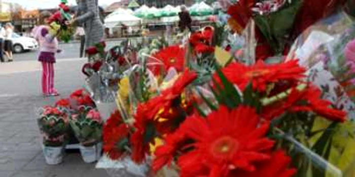 Iaşi: Pregătiri de şcoală printre flori şi rechizite