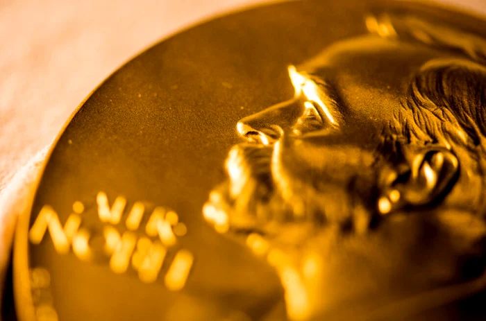 Abdulrazak Gurnah a câștigat Nobelul pentru Literatură pentru publicarea mai multor volume în care a scris despre situația refugiaților din lume