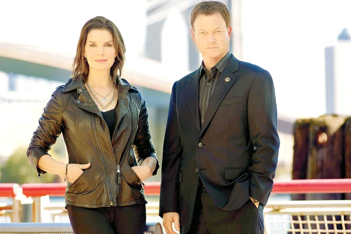 
    CSI: New York  