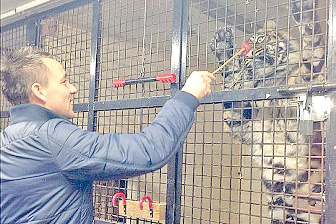 Terry a hrănit un tigru din micuţa sa grădină zoologică