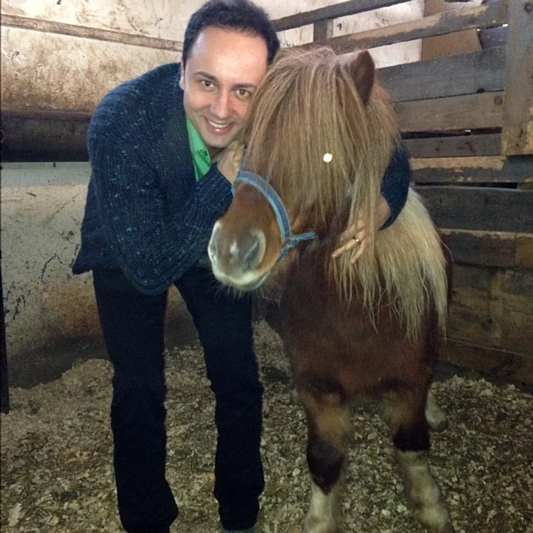 catalin maruta ponei