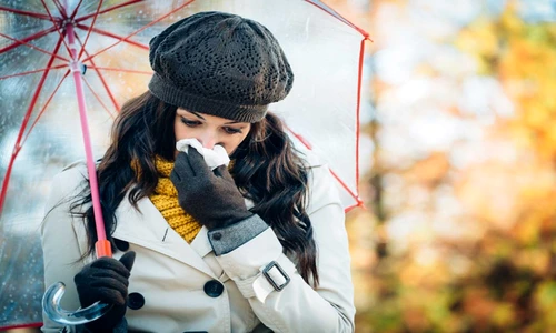 1 79803 original jpg jpeg