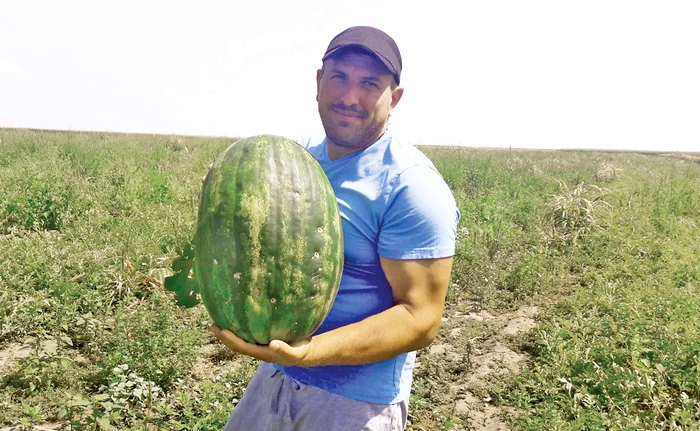 “Lubeniţa de Gottlob” este marcă înregistrată, motiv pentru care e desenată chiar pe panoul de la intrarea în localitate