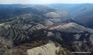 tinutul padurenilor bunila daniel guta adevarul