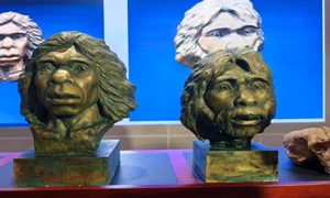 5cc518bc17c24a6d8b7053617a9b8bae jpg