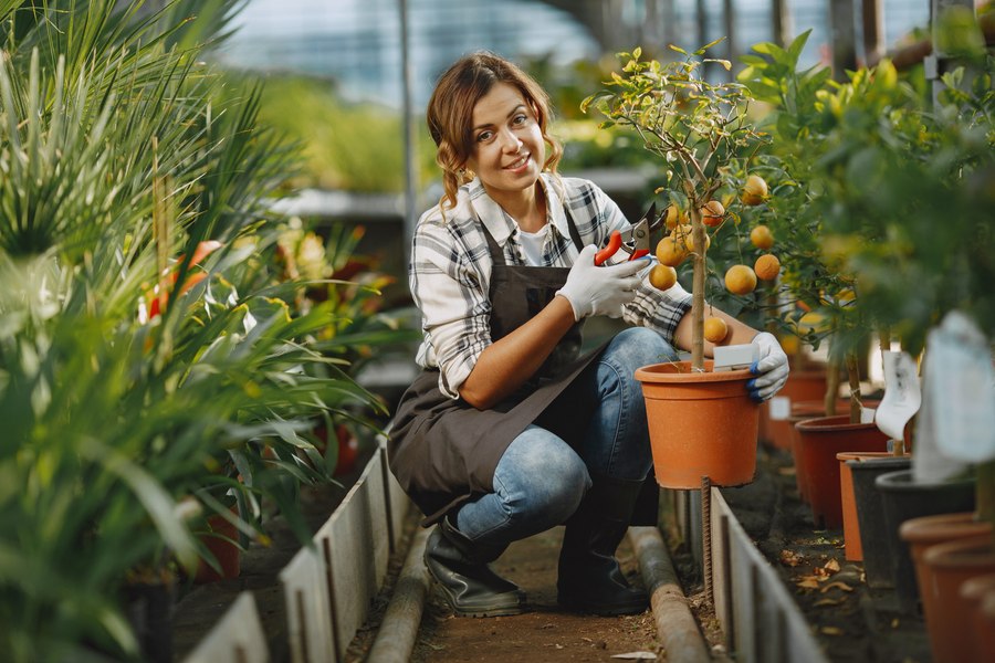 Cum transformăm curtea într-o grădină ecologică. Ghidul specialiștilor pentru începerea unei culturi bio