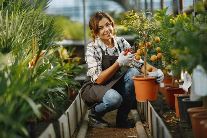 Grădinărit ecologic. Sursa: Freepik.com