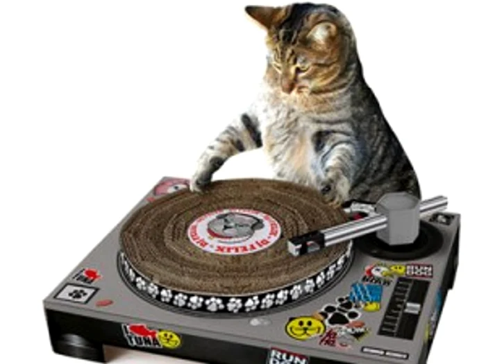 
    Ascuţindu-şi ghearele pe acest dispozitiv, orice motan se simte ca un DJ  