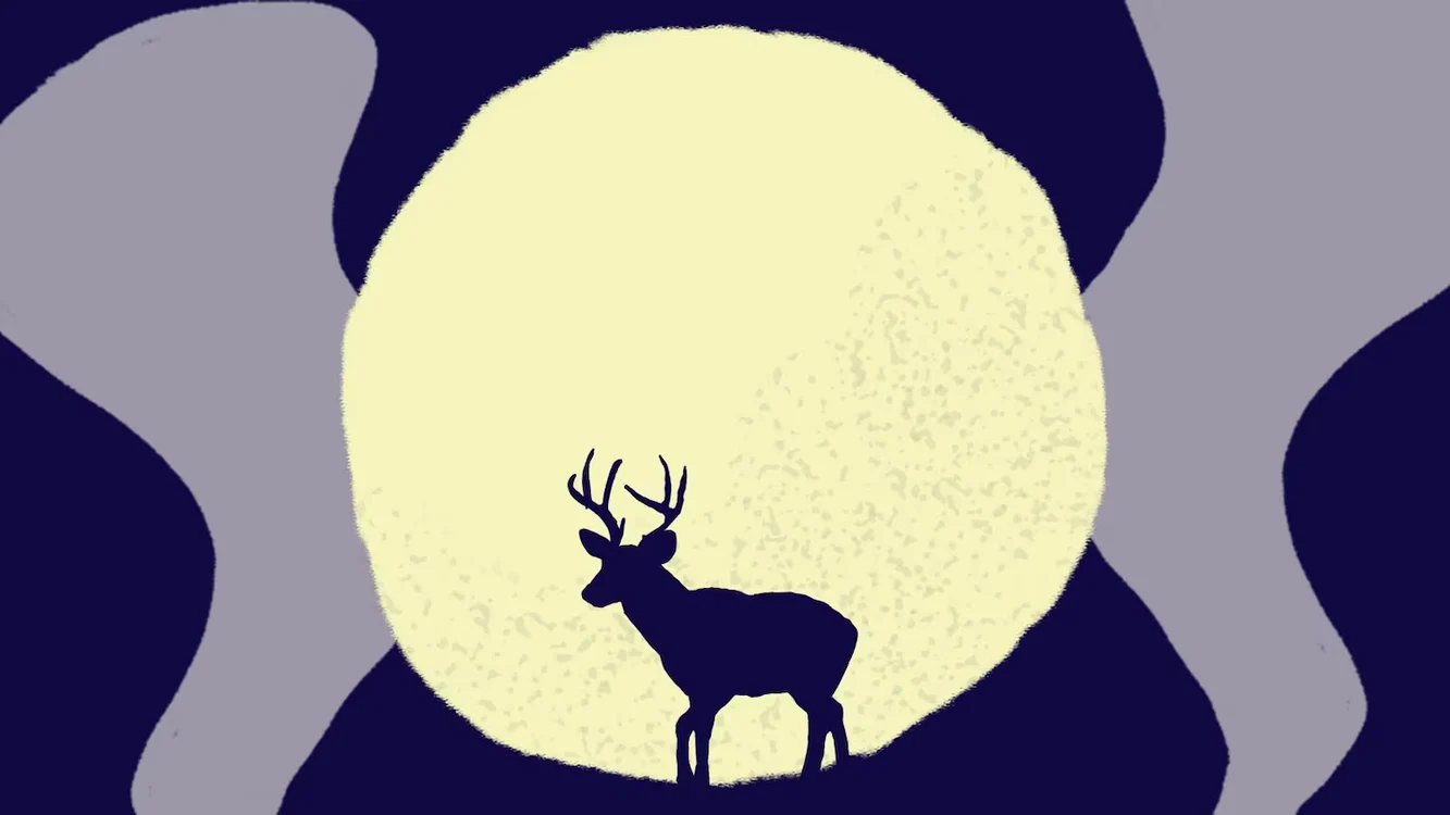 Luna Plină a Cerbului din iulie vine cu schimbări pentru toate zodiile