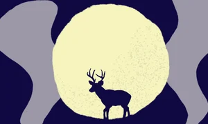 BuckMoonMaincopy 1720559702197 hpMain 16x9 png