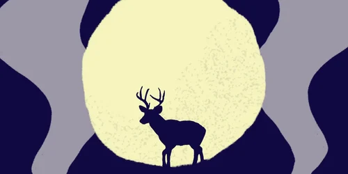 BuckMoonMaincopy 1720559702197 hpMain 16x9 png
