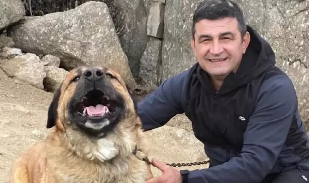 Cine este românul care a murit încercând să salveze caii şi pe proprietarul unei ferme din Spania cuprinse de flăcări