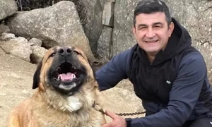 mircea spiridon foto GoFundMe jpg