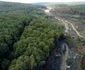 Autostrada Lugoj Deva, zona Holdea Margina Foto Daniel Guță ADEVĂRUL (6) JPG