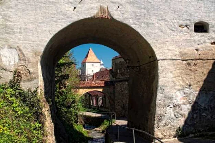 transilvania the mirror