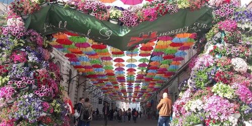 Cea mai colorată stradă din Timişoara