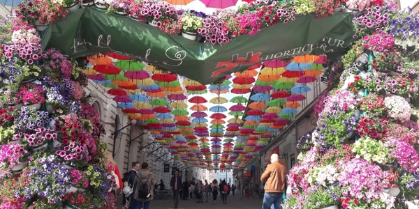 Cea mai colorată stradă din Timişoara