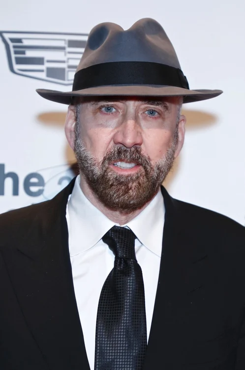 1 profimedia 0645557254 jpg jpeg