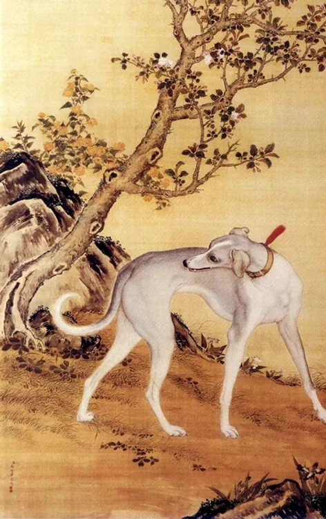 Ogarul chinezesc.