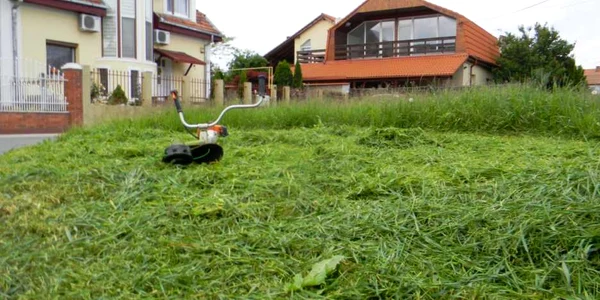 spatiu verde