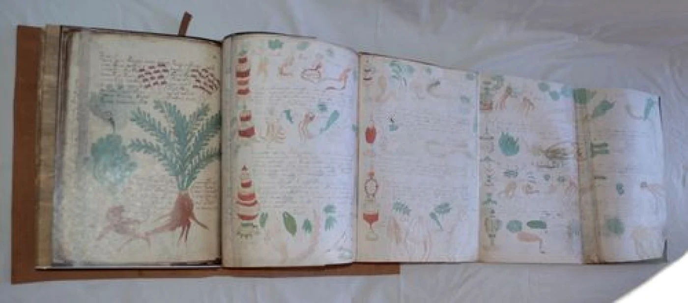 Manuscrisul lui Voynich FOTO apmanuscripts.com