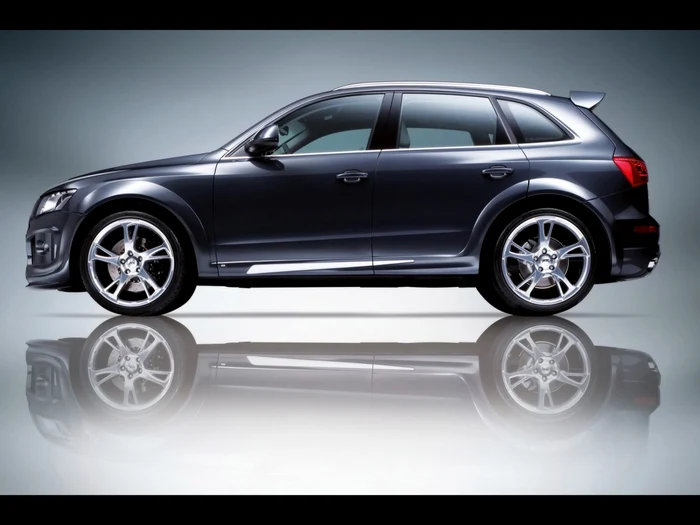 Modelele afectate sunt Audi A1, A3, A4, A5 A6, modelele sport TT, precum şi SUV-urile Q3 şi Q5 (foto)