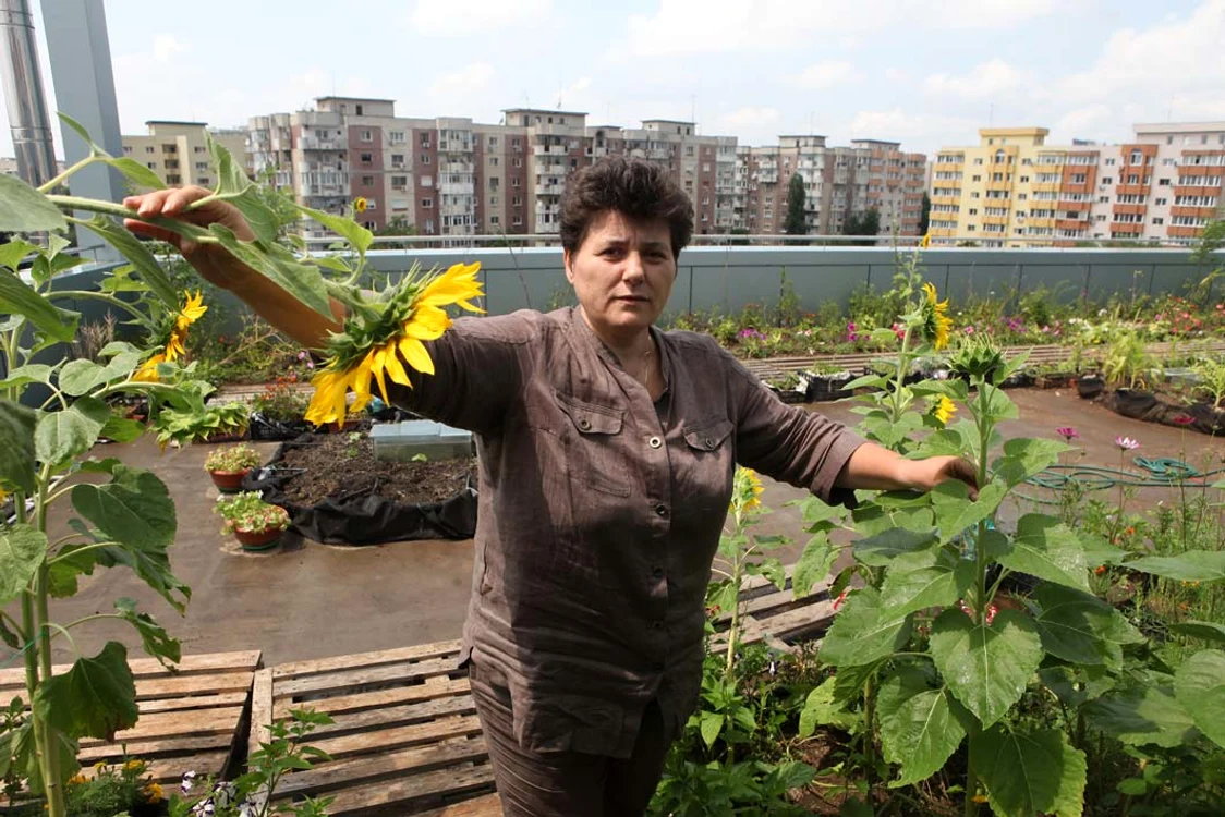 Iuliana Popescu ne arată grădina de pe terasa clădiriifoto: Sever Gheorghe