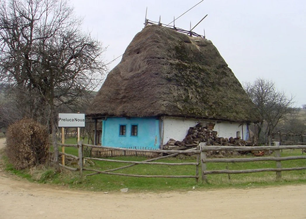 Satul Preluca Nouă