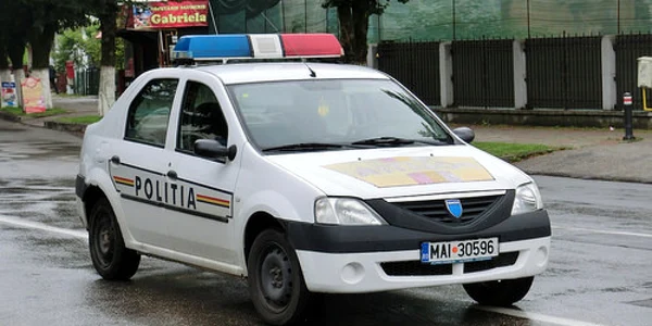 loganul politiei