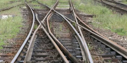 Hoţii au fost prinşi în flagrant