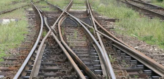 Hoţii au fost prinşi în flagrant