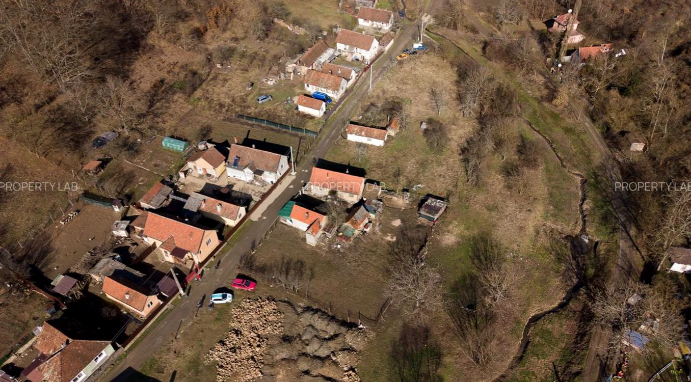 Casa se află în Șoimoș, județul Arad FOTO: imobiliare.ro