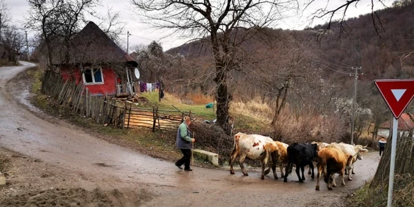 satul ulm tinutul padurenilor foto daniel guta adevarul